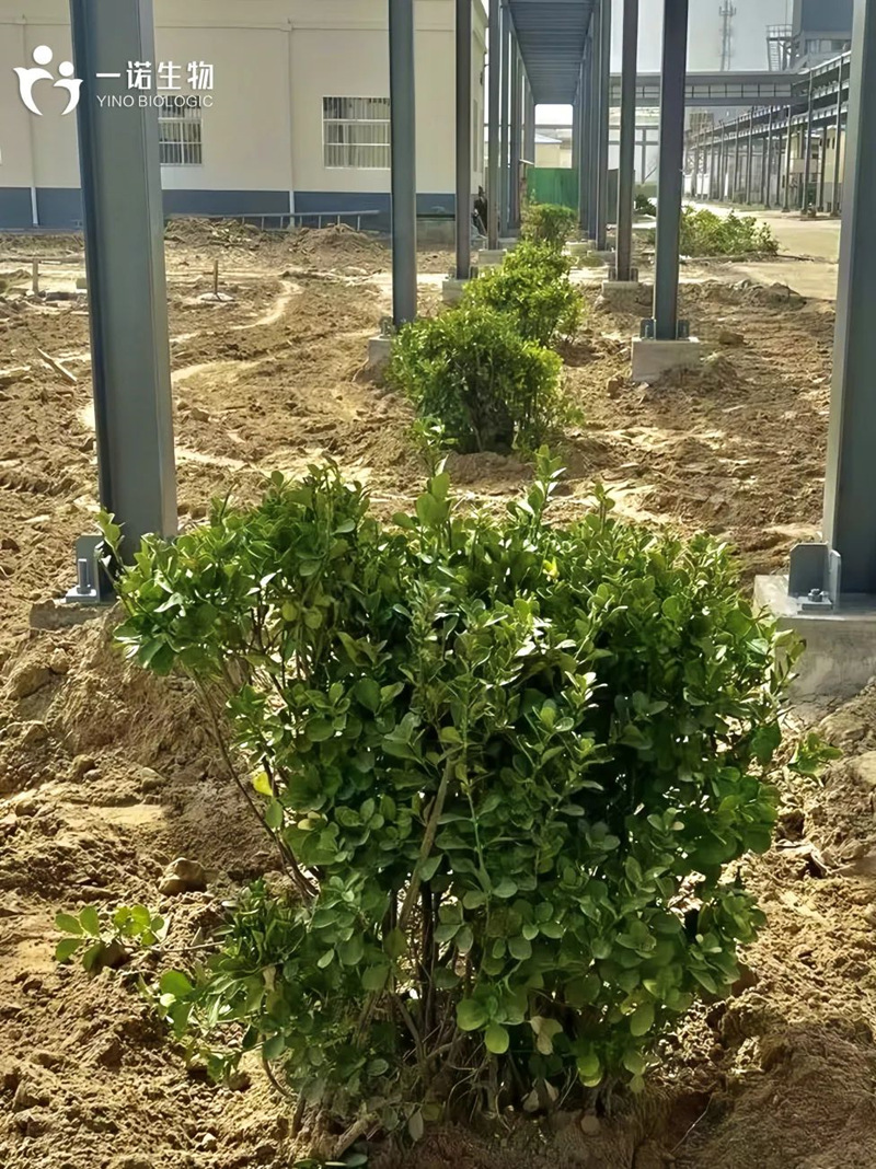 綠色工廠(chǎng)實(shí)踐,綠色工廠(chǎng)建設(shè),生物基材料廠(chǎng)家,生產(chǎn)廠(chǎng)家